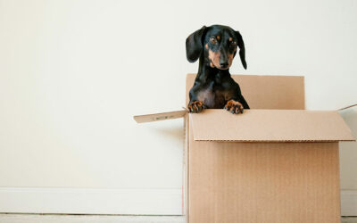 12 Moving Tips & Tricks