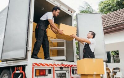 From Packing to Storage: Move Out Bin’s Smarter Storage and Moving Solution